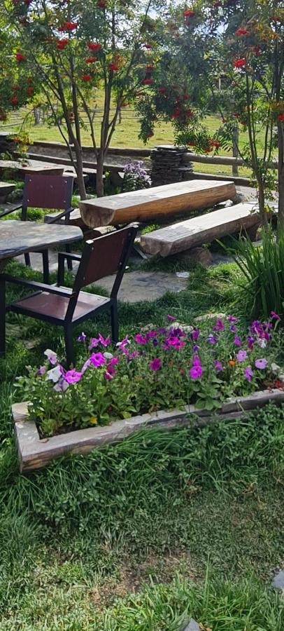 Guest House Shina Omalo Екстериор снимка