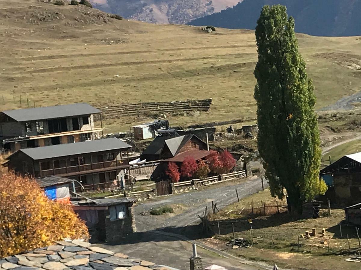 Guest House Shina Omalo Екстериор снимка